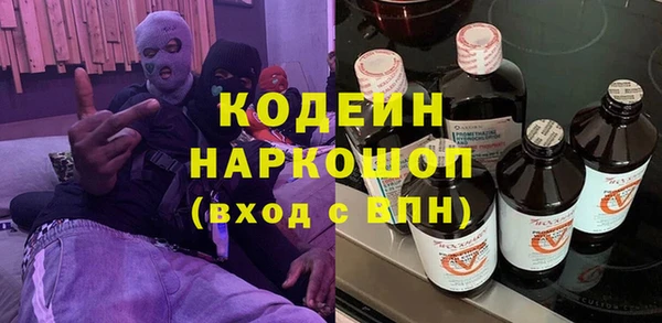 индика Алзамай