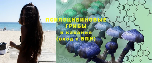 каннабис Алексеевка