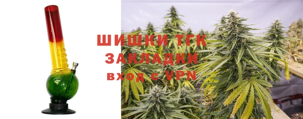 индика Алзамай