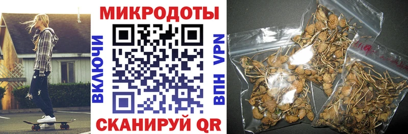 Псилоцибиновые грибы Cubensis  Хадыженск 